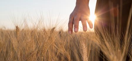 Cos'è l'agricoltura biologica e come diventare agricoltore bio