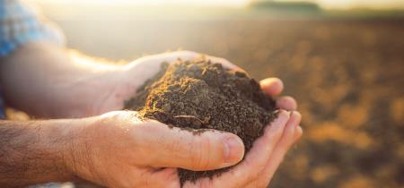 Fertilizzanti e concimi ammessi in agricoltura biologica