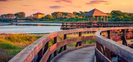 Giardino Botanico di Porto Caleri: un'oasi da scoprire