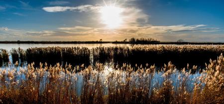 Oasi di Ca' Mello nel Delta del Po: un rifugio di natura incontaminata