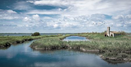 Parco del Delta del Po: La Via delle Valli