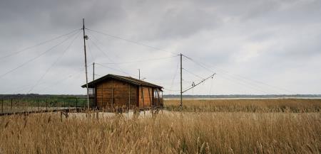 Polesine: un territorio tutto da scoprire