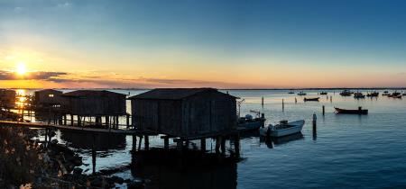 Sacca degli Scardovari: natura incontaminata e prodotti d'eccellenza