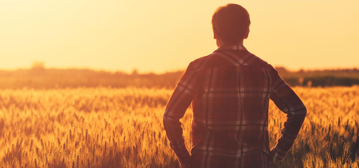 Chi è l'agronomo e di cosa si occupa in una azienda agricola